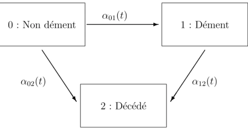 Figure II.4 – Repr´ esentation du mod` ele illness-death