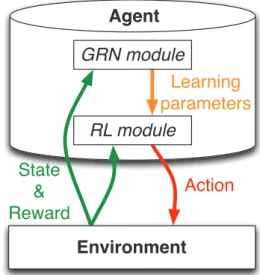 Fig. 2: A diagram of the model of neuromodulatory control of RL agents.