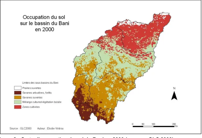 Figure 8 : Carte d’occupation du sol du Bani en 2000 (source : GLC 2000) 