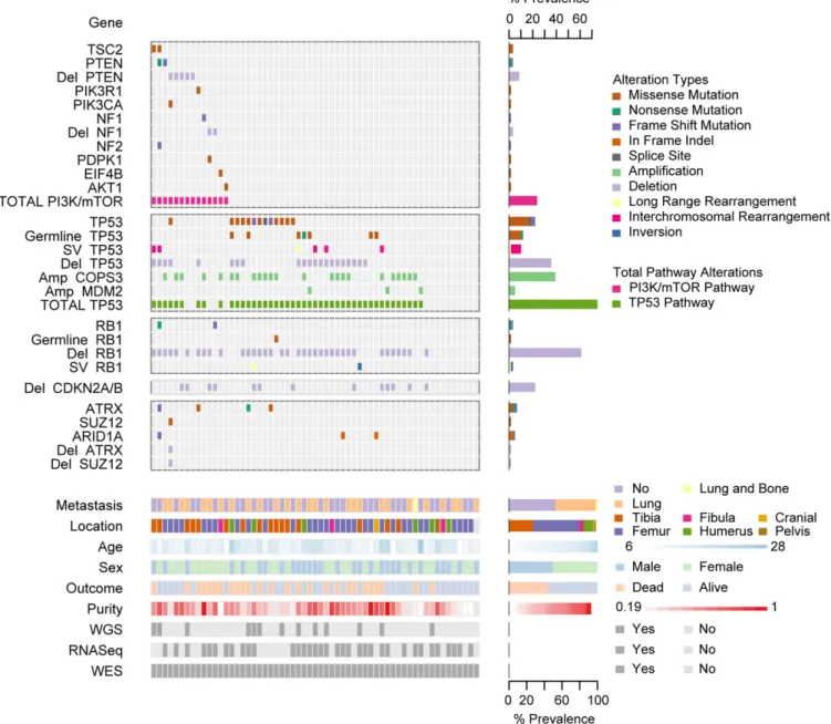 Fig. 1. Summary of sequencing results highlighting alterations in the PI3K/mTOR pathway, TP53, RB1, and TP53 and RB1 interacting genes, demographic and clinical variables, and sequencing characteristics