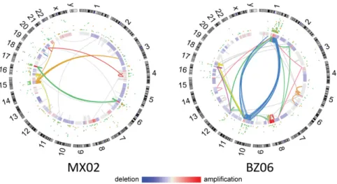 Fig. 2. Associations between chromosomal rearrangements and clustered single-nucleotide mutations are evident in osteosarcoma