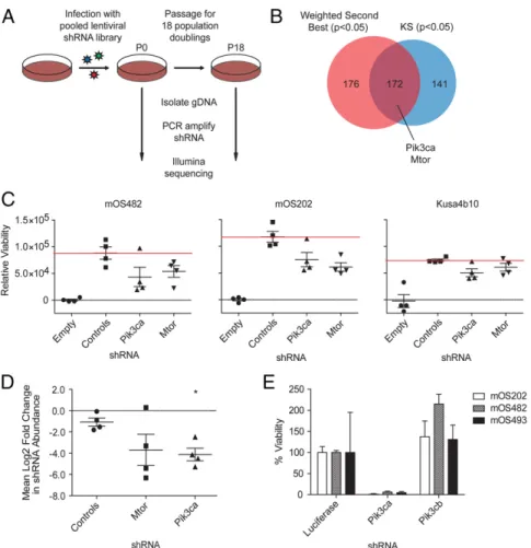 Fig. 4. PI3K/mTOR identified as essential by in vitro and in vivo functional genomics screening