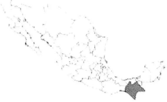 Figure 2.1:  MAP  OF  MEXICO  WITH  CHIAPAS  HIGHLIGHTED