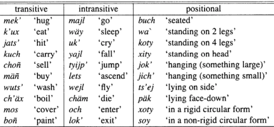 Table 2.1:  CHOL  VERBAL  ROOT  CLASSES  (VAZQUEZ  ALVAREZ  2002)