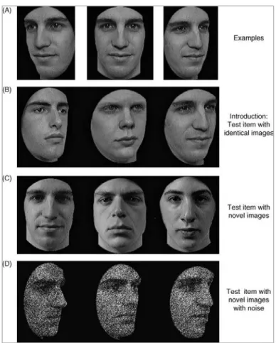 Figure  5.  Exemples  de  stimuli  utilisés  dans  le  Cambridge  face  memory  Test  (Duchaine  &amp; 