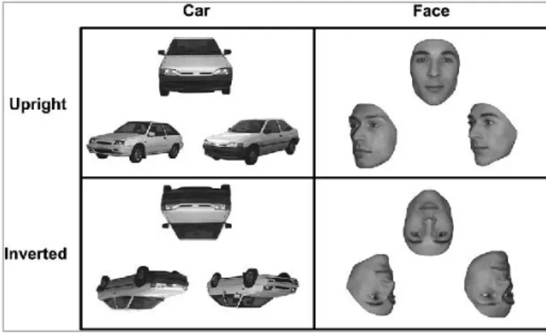 Figure 6. Exemples de stimuli issus du test de l'effet d'inversion. 