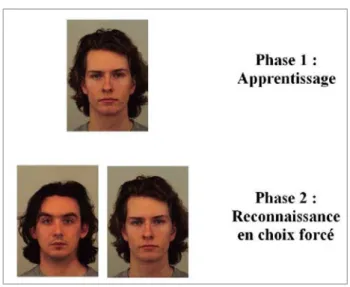 Figure 8. Exemple de stimuli du test de mémorisation et reconnaissance de nouveaux visages