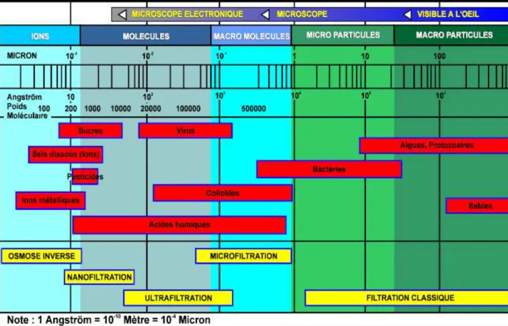 Figure 9 : Les constituants de l'eau (source A3P – Association pour les produits propres et stériles –  Conférence A.PENAT, Biarritz 2009) 