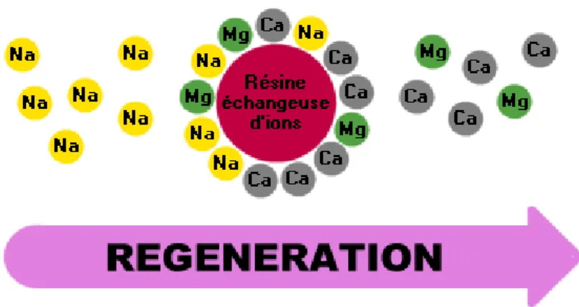 Figure 16 : Principe de régénération des résines échangeuses d'ions 