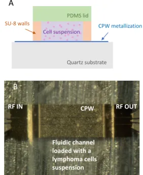 Fig. 1.  Schematic cross view and photography of the microwave biosensor  loaded with a cell suspension in a microfluidic channel