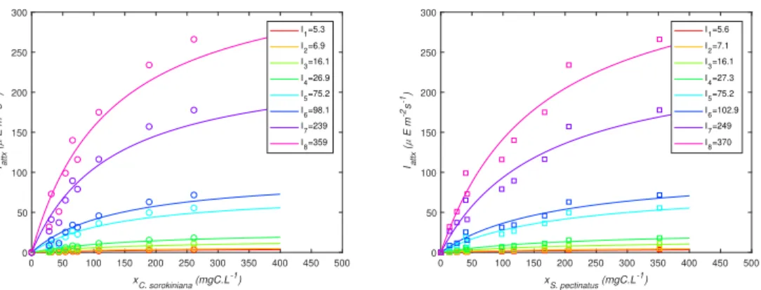 Figure 3: Simulation of the attenuated light model I attx compared to data obtained in monocultures of C