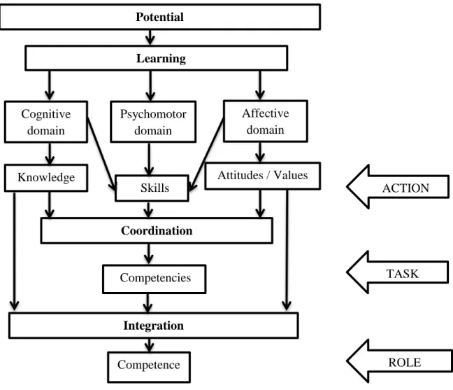 Figure 1.3: From Potential to Role Competence (Jordan et al., 2008, p. 206) 