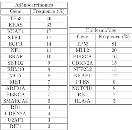 Table 1.1: Fréquences des mutations somatiques dans deux sous-types des CBNPC: les adé- adé-nocarcinomes et les cancers épidermoïdes
