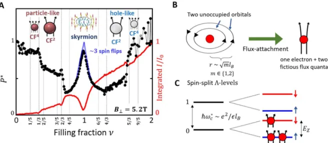 Figure 3A shows the complete P *  phase diagram, where changes in B ⟂  and ν drive phase  transitions between the spin polarized, unpolarized, and partly polarized states