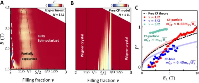 Fig. 4. The ground-state spin polarization in the first excited N = 1 Landau level. (A) The P * phase diagram measured in the N = 1 LL