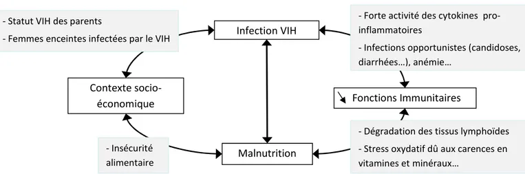 Figure 5 : Liens causaux entre l’infection par le VIH et la malnutrition chez l’enfant 