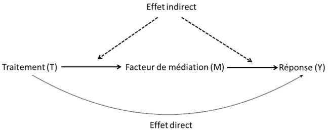 Figure 2.2: Décomposition de l’effet total du traitement sur la réponse en un effet indirect passant par le facteur de médiation et un effet direct indépendant de M.