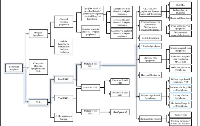 Figure 3 : Proposition de hiérarchisation par le consortium InterLymph des hémopathies  lymphoïdes basée sur la classification WHO