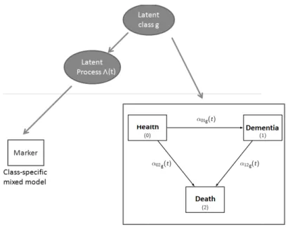Figure 3.1: Joint latent class illness-death model: the latent classes correspond to homogeneous sub-groups of subjects with a specic marker trajectory and specic transition  inten-sities to dementia and death