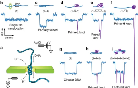 Fig. 1 Translocation events signatures of knotted and unknotted 48.5 kbp lambda DNA molecules