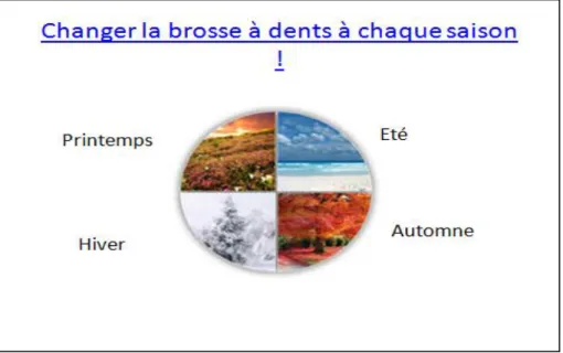 Figure 21 : Diapositive sur la fréquence de changement de la brosse à  dents. 