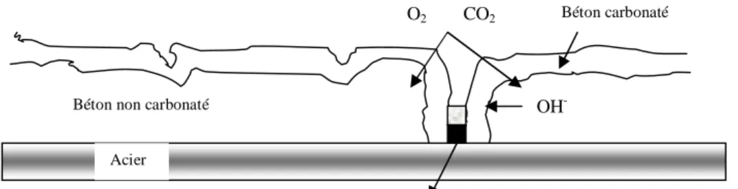 Figure 2.Mécanisme de corrosion des fibres en présence de fissure, et sans pénétration des  chlorures 