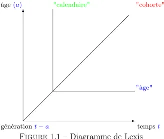 Figure 1.1 – Diagramme de Lexis