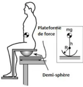 Figure 1 : Système d'assise instable proposé par Cholewicki et al (2000) 