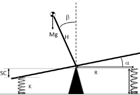 Figure 4 Simplification du système utilisé par Larivière et al (2013) 