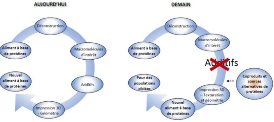 Figure 5 : Evolution envisagée pour l’impression 3D de nouveaux aliments à base de protéines dans les années à  venir 