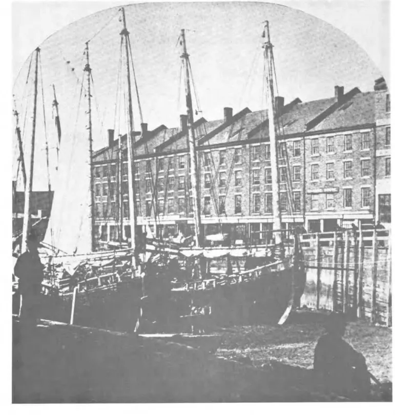 Figure  2  Market  Slip,  St.  John,  N .   B .   Early  18701s, South Market  wharf  in  background  (Photograph courtesy Early Photographs  in  Canada  -  Ralph  Greenhill) 