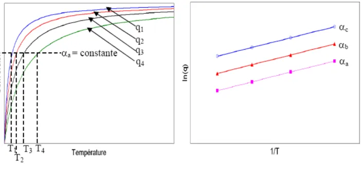 Fig. 13. Description de l’analyse de la méthode d’Ozawa, Flynn et Wall [14]. 