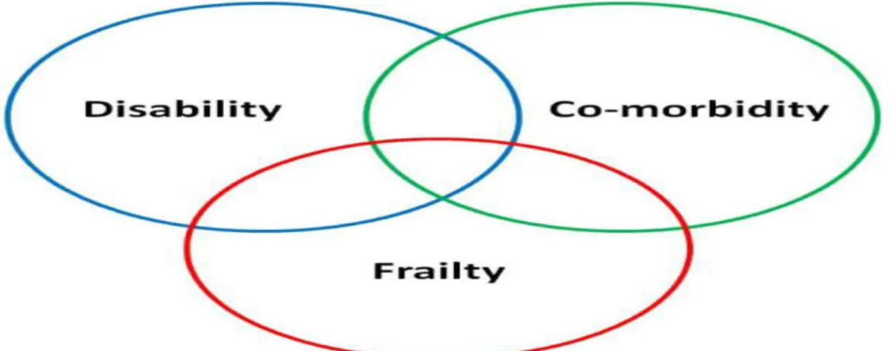 Figure 1) Diagramme de Venn montrant les chevauchements et les relations entre l'incapacité, les  comorbidités et la fragilité 20 