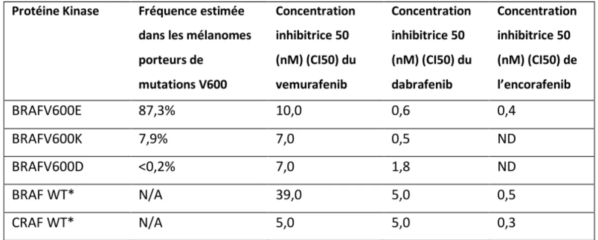 Tableau 3. Concentrations inhibitrices des BRAFi en fonction du type de kinase RAF. 