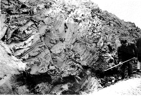 Figure  1.  Reconstituted  clay in  side of  trench 