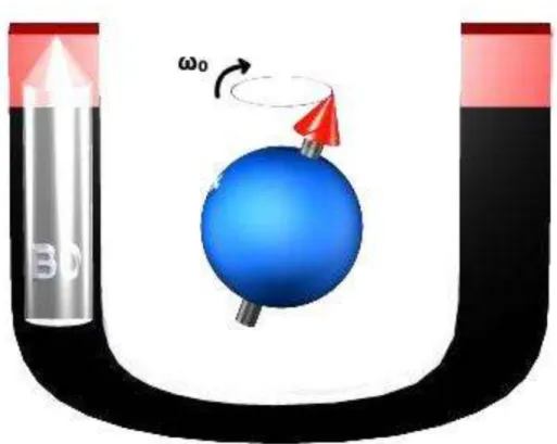 Figure 1 : Mouvement de précession = Mouvement de rotation  du proton (sphère bleue) sur lui même à la fréquence de  précession   0  sous l’influence de B 0