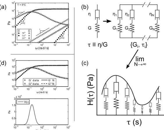 Figure 4.2 | Rheological properties of single metal-ion hydrogels. (a) A simple change of the metal ion in single metal-ion hydrogels can change τ by several orders of magnitude