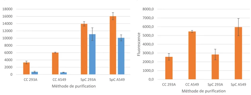 Figure 7: Impact de la méthode de purification et de la lignée cellulaire utilisée pour la production de  virus  sur  la  fixation  de  l’aptamère  10  au  virus  HAdV-2  et  au  témoin  négatif