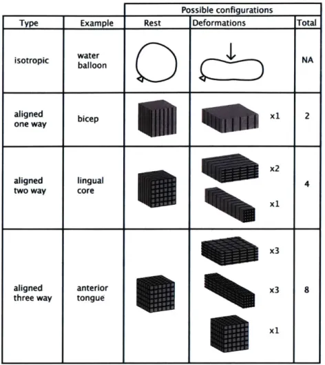 Figure  4.1.1:  The concept  of a muscular  hydrostat  is  defined  in this figure.  Given  the presence  of  local  anisotropy  in  a  muscular  tissue,  the  complexity  of  fiber  alignment determines  the  number  of possible  deformations  attainable.