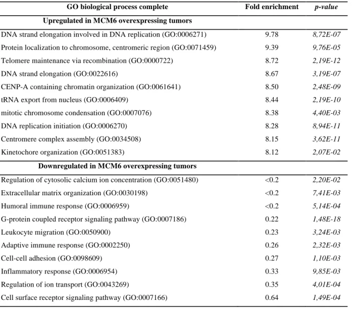 Table 3. Top 10 GeneOntology functional annotations associated with the upregulation of  MCM6 (sorted by fold enrichment) 