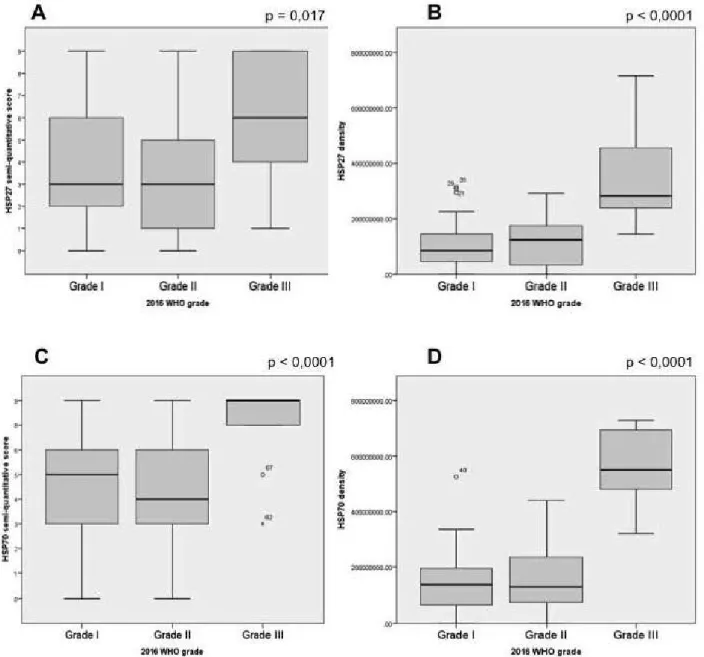 Figure 2 : overexpression of HSP27 and HSP70 in grade l  /li /  111  meningiomas (WHO grading),  Kruskal-Wallis tests were conducted wlth pairwise comparisons : 