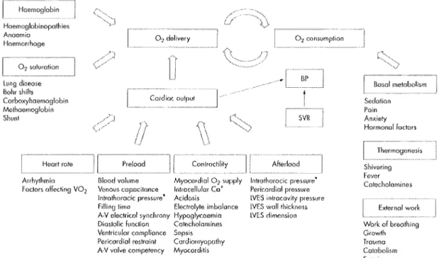 Figure  1:  Facteurs modifiant  la  consommation  et le  transport  d'oxygène (BP :  pression  artérielle,  SVR :  résistances artérielles systémiques,  V 0 2   :  consommation d'oxygène,  A-V : 