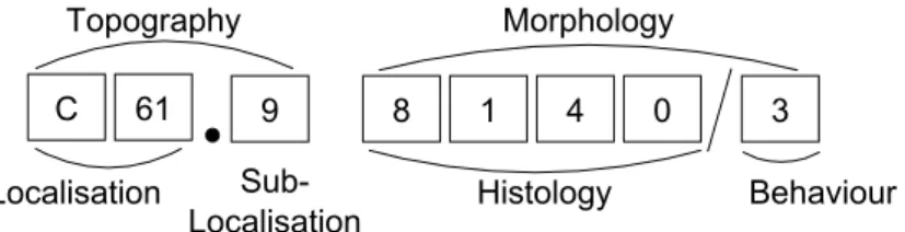 Figure 2.4 – Structure of the ICD-O-3 code (with example of a prostate adenocarcinoma)