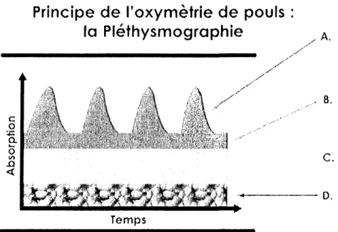 Figure 7 : Principe de l'oxymétrie de pouls [106]