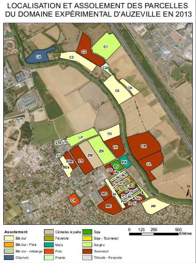 Illustration 2: Localisation et assolement des parcelles du domaine expérimental d'Auzeville en 2013