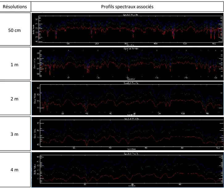 Figure 14 : Profils spatiaux associés à une image Pléiades (daté du 03/11/2018) dont la résolution spectrale est  progressivement dégradée à 1 m, 2 m 3 m et 4 m.
