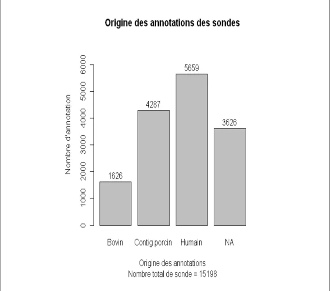 Figure   5:  Origines   des   annotations   des   sondes   oligonucléotidiques.  L'annotation   des  sondes oligonucléotidiques a été réalisée par alignements des séquences contre les génomes  humain et bovin(base de donnée ENSEMBL) ou à défaut à partir de