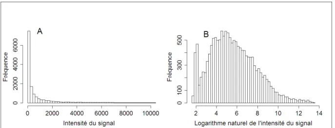 Figure 6:  Effet  de la transformation  logarithmique de l'intensité du  signal.  (A) avant  transformation