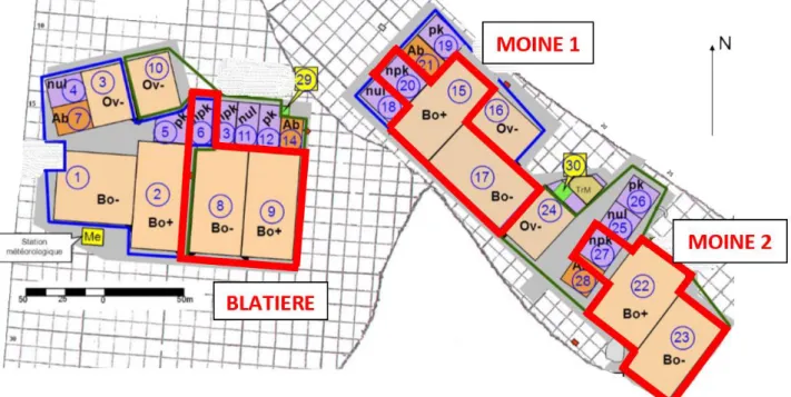 Figure 4 : Plan du site d’étude avec les 3 blocs de répétition : Blatière, Moine 1 et Moine 2 (représentés  en rouge)