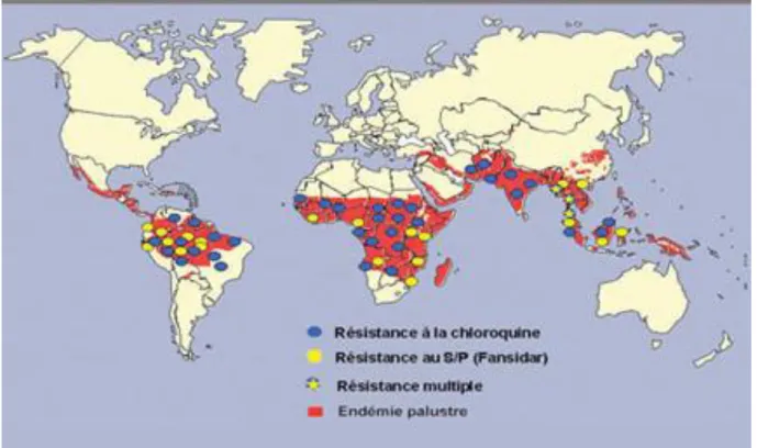Figure 7 : les zones de forte résistance de Plasmodium falciparum dans le monde. (Source :  www.rollbackmalaria.org) 